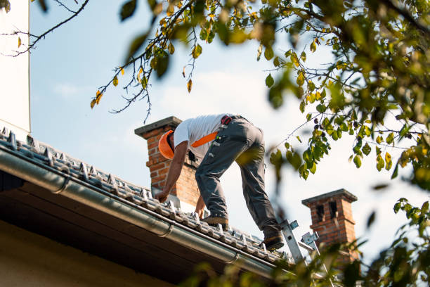 Professional Roofing Contractor in Brisbane, CA