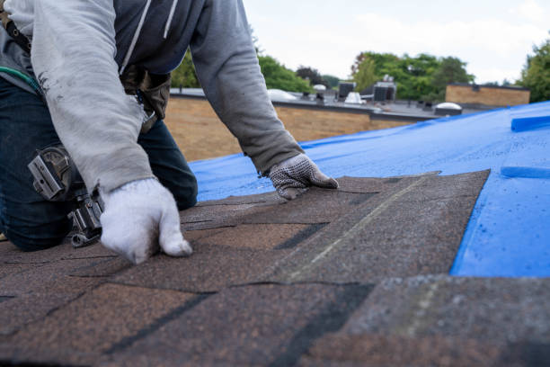 Best New Roof Installation  in Brisbane, CA