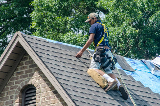 Best Shingle Roofing Installation  in Brisbane, CA